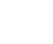 Evolution games at Big Win Vegas Casino